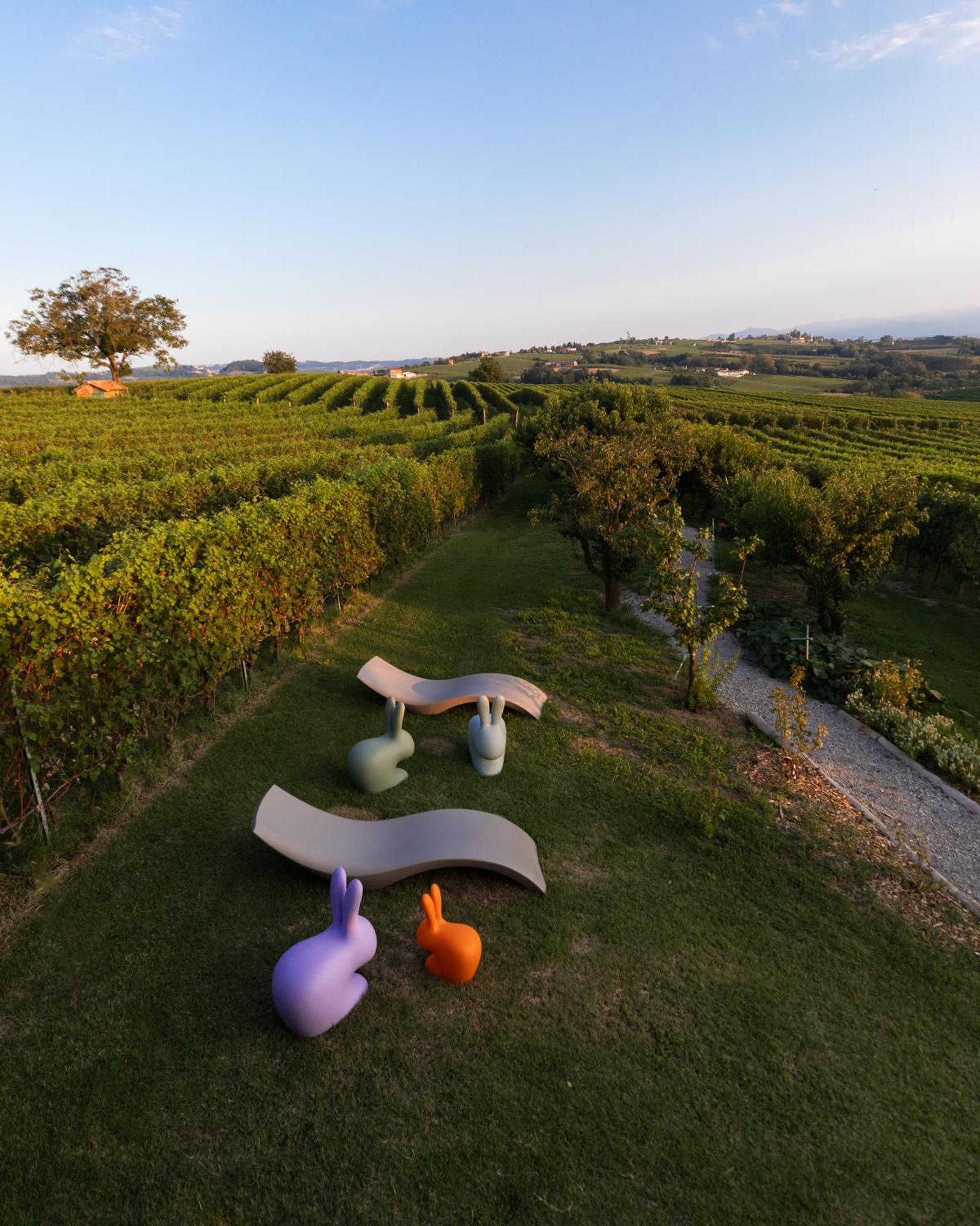 Vineho Apartment บาโรโล ภายนอก รูปภาพ